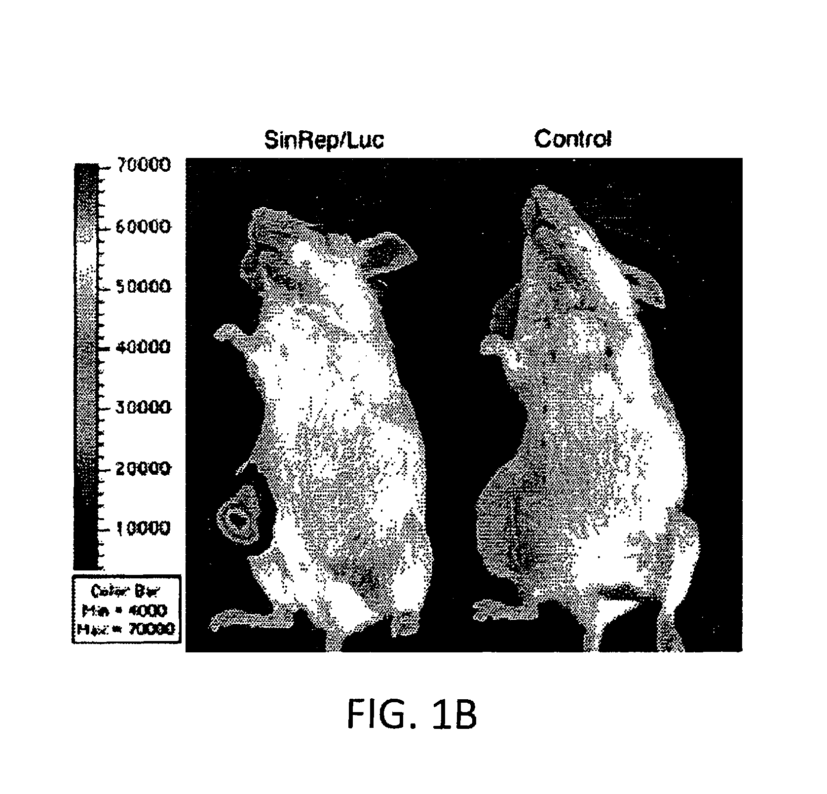 Method for detecting cancer cells and monitoring cancer therapy