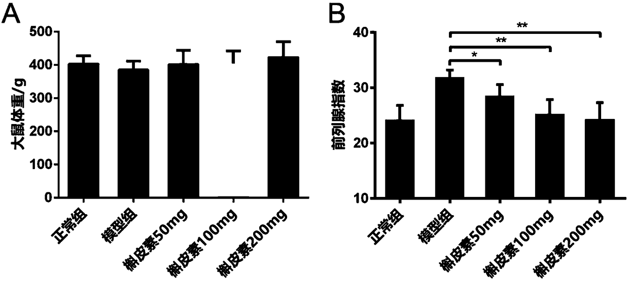 Application of quercetin in preparation of drug for treating CP (chronic prostatitis)