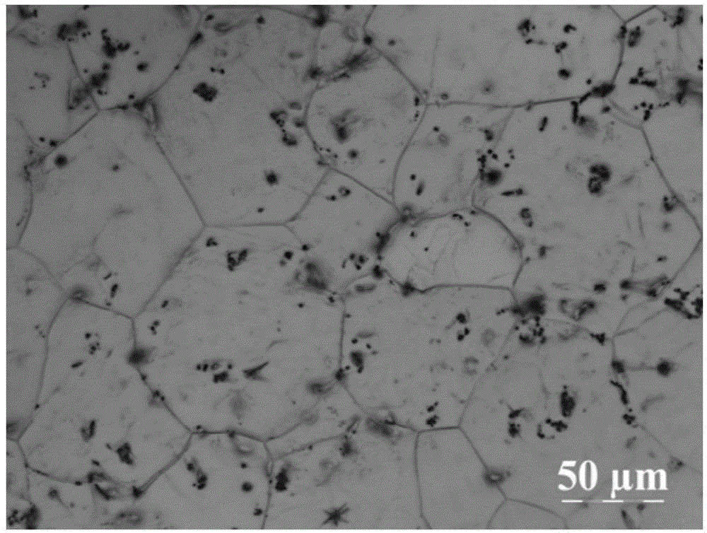 Composite treatment and purification method for magnesium alloy melt