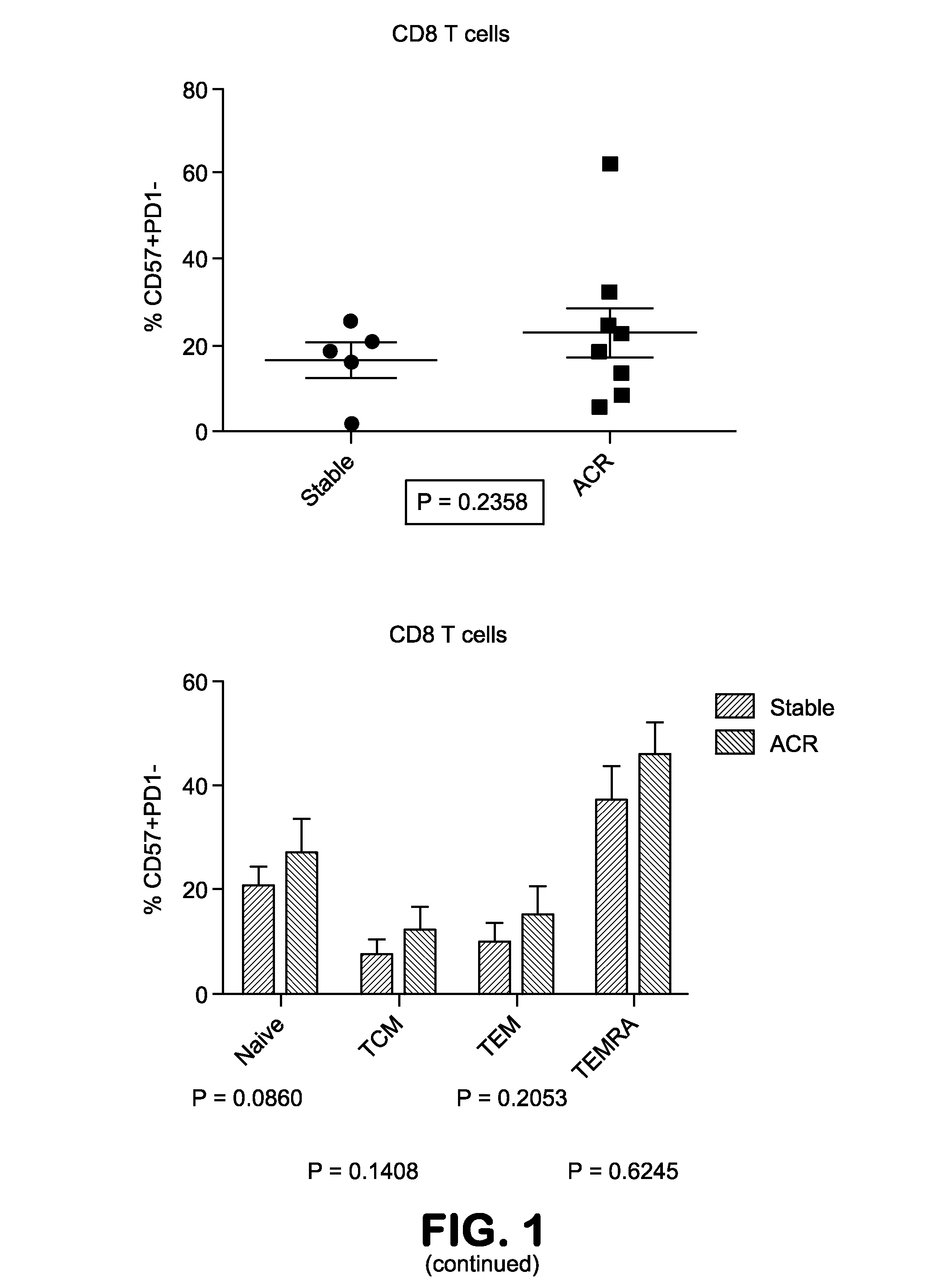 Methods for identifying patients at risk for costimulation blockade resistant rejection