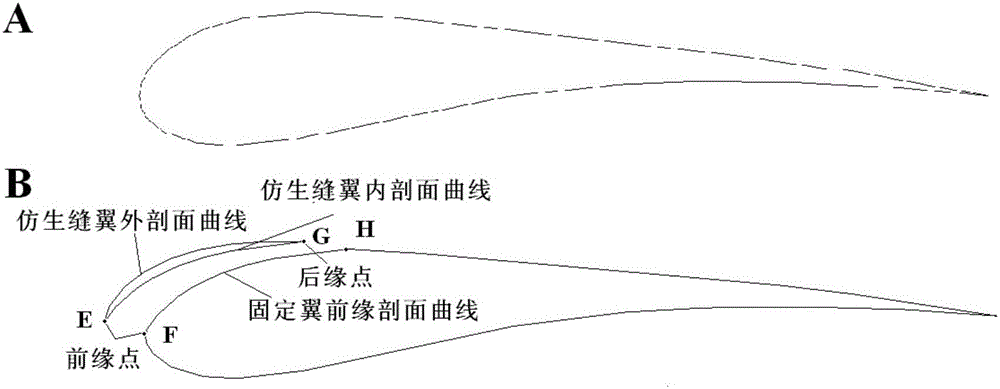 Bionic slat design method based on owl wings