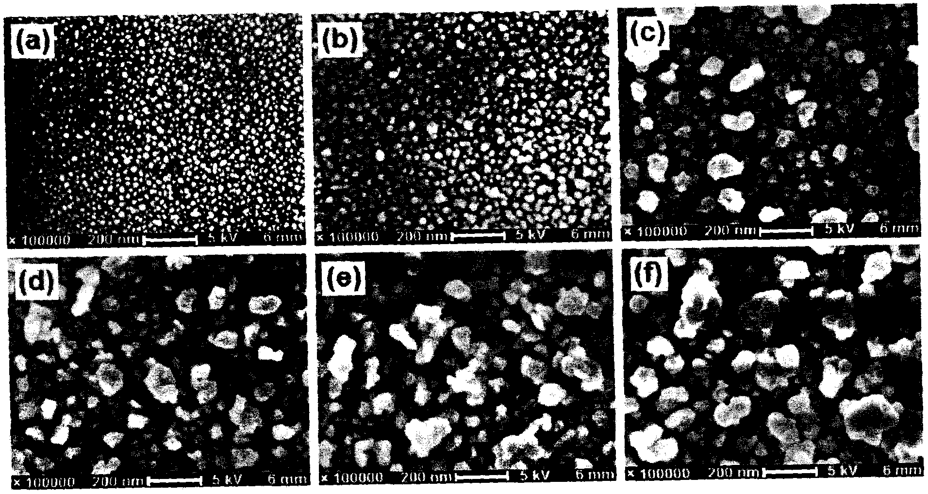 Surface enhanced Raman scattering substrate constructed by electroless deposition and preparation method and application thereof