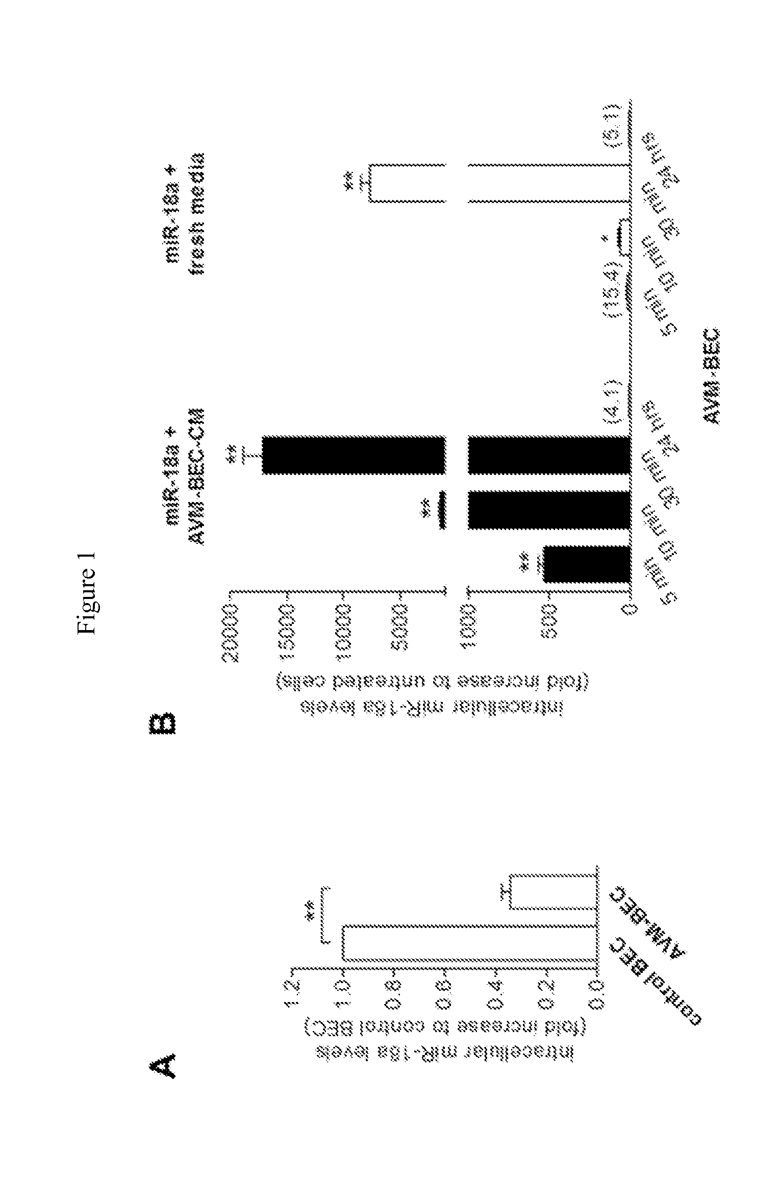 Compositions and methods for delivering microrna