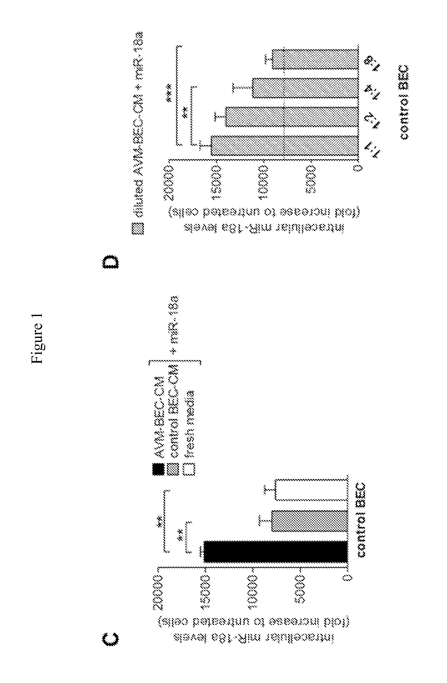 Compositions and methods for delivering microrna