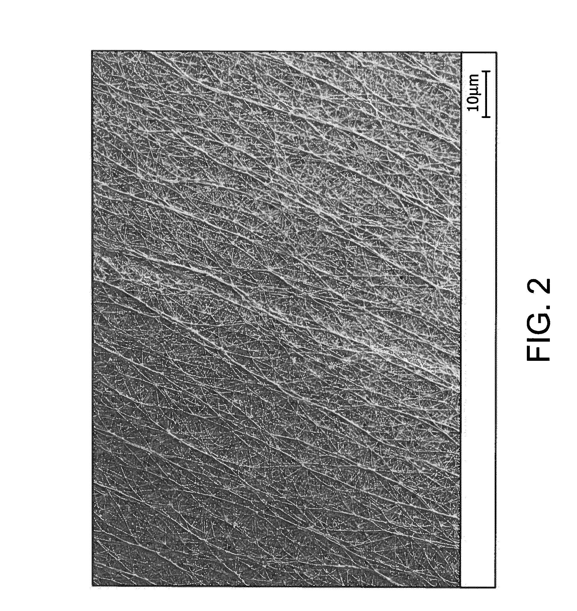 Self-expanding, balloon expandable stent-grafts