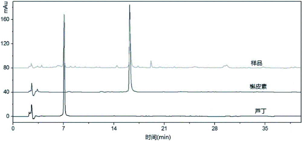 Method for preparing fagopyrum tataricum tea by fermenting fagopyrum tataricum stalks and leaves through aspergillus niger