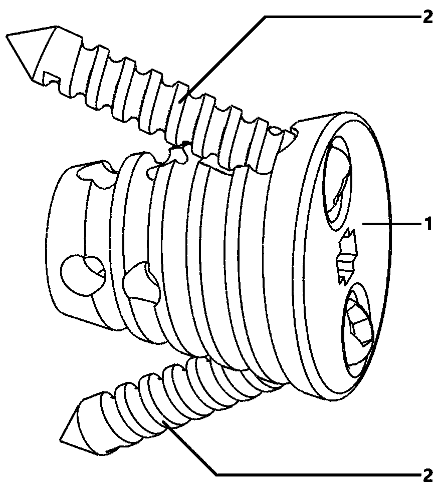 Tapping type zero-incisure cervical fusion cage