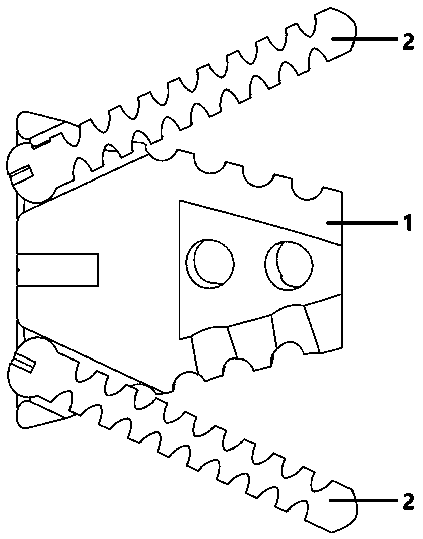 Tapping type zero-incisure cervical fusion cage