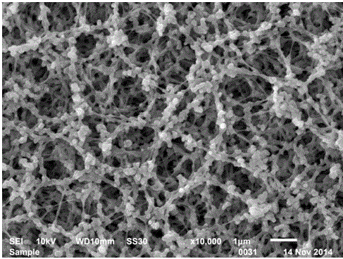 Aramid fiber polymer coated lithium ion battery membrane and preparation method thereof