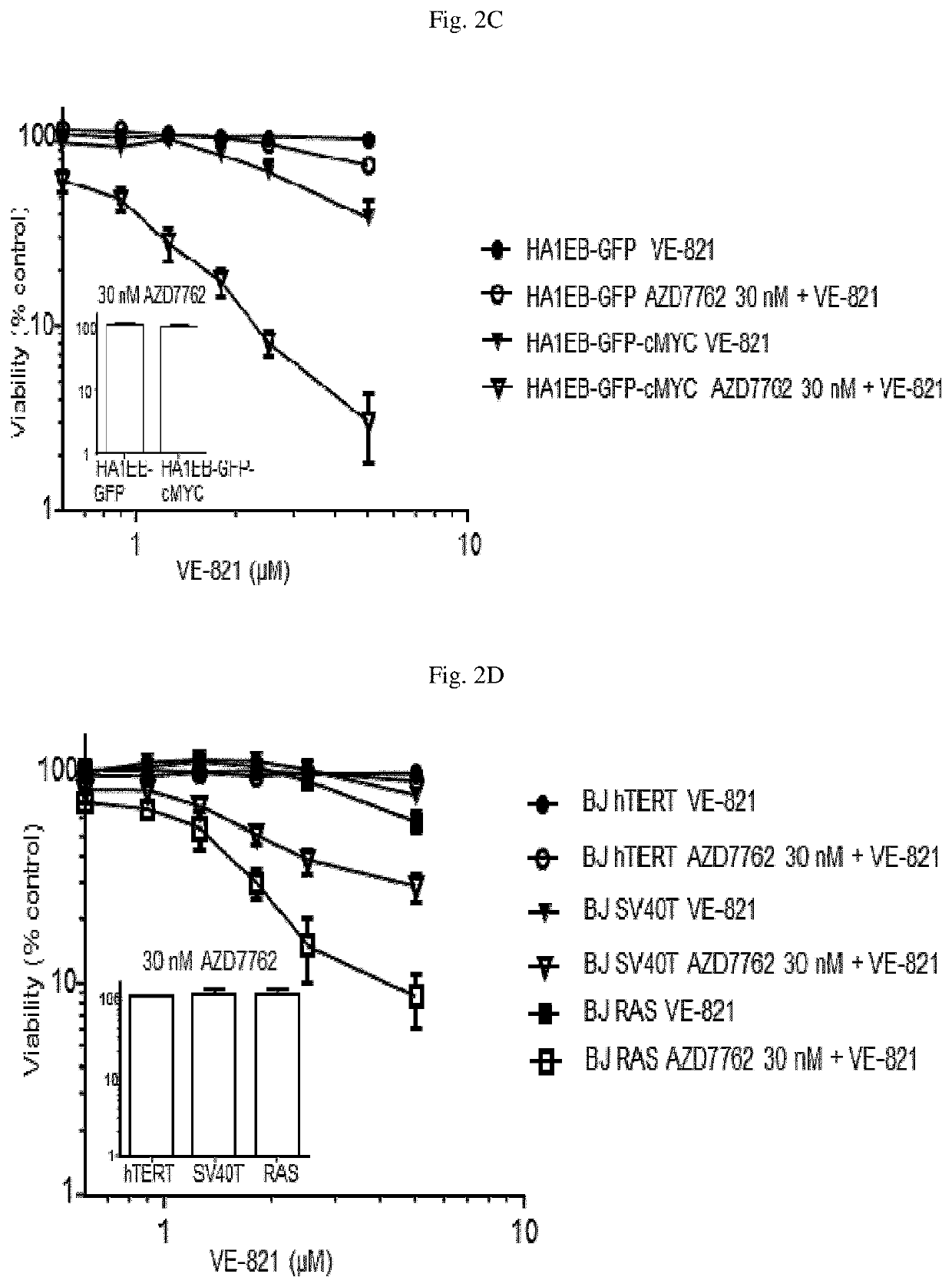 Method for treating cancer using a combination of Chk1 and ATR inhibitors