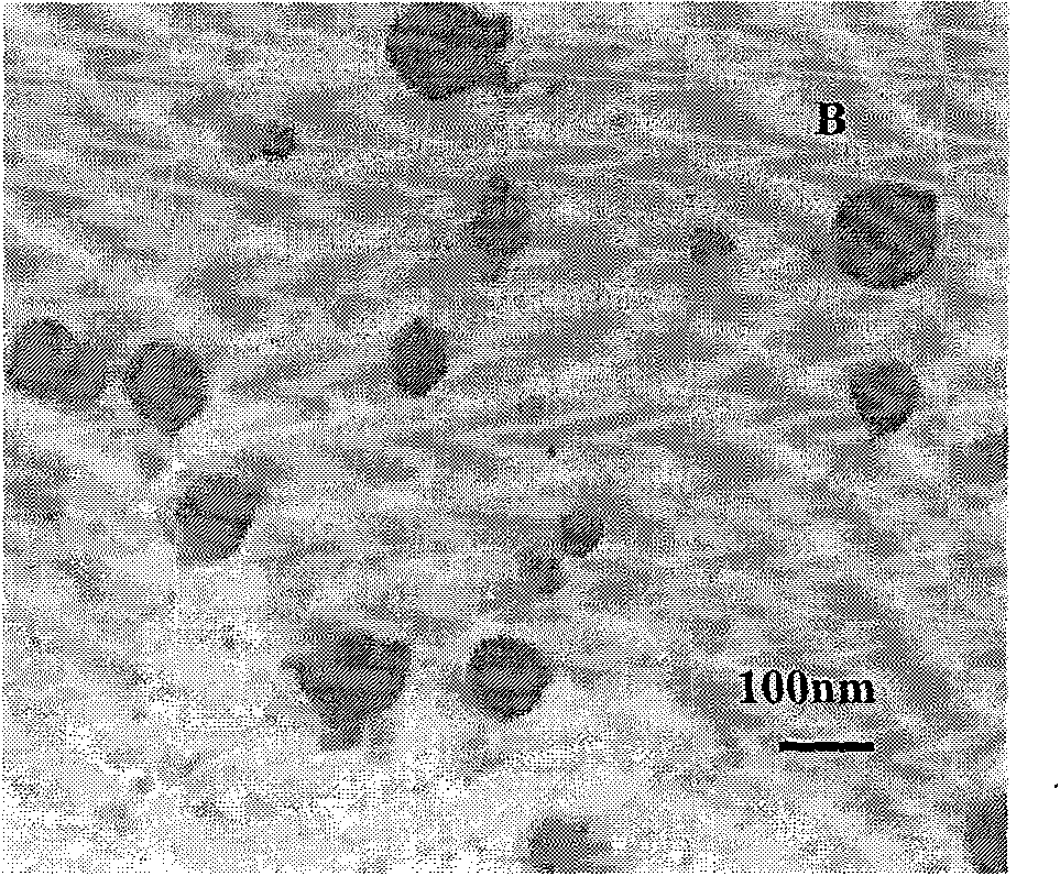 PEG-PLGA nanoparticle carrying recombinant human vascular endothelial inhibitor and preparation method thereof