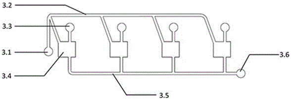 Immunodetection chip, device and system and preparation method of immunodetection chip