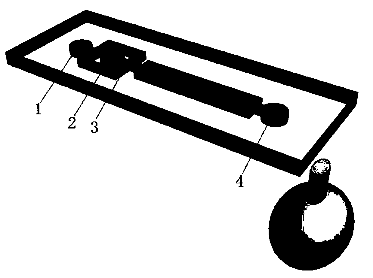 A kind of microsphere with Raman activity and preparation method thereof