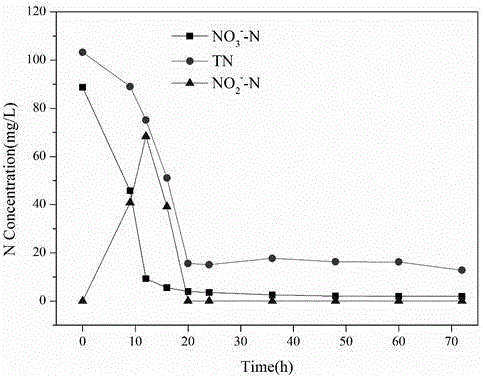 Pseudomonas stutzeri and application thereof