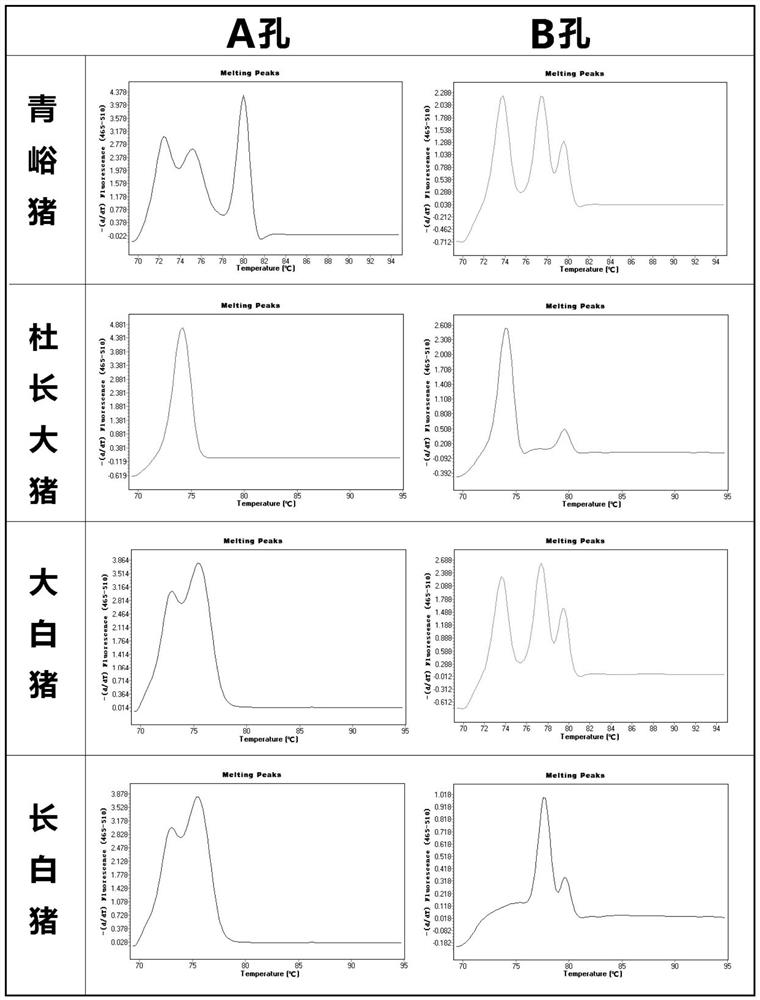 Identification method of Qingyu pig-derived components