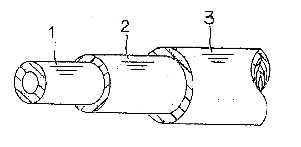 Automotive fuel hose