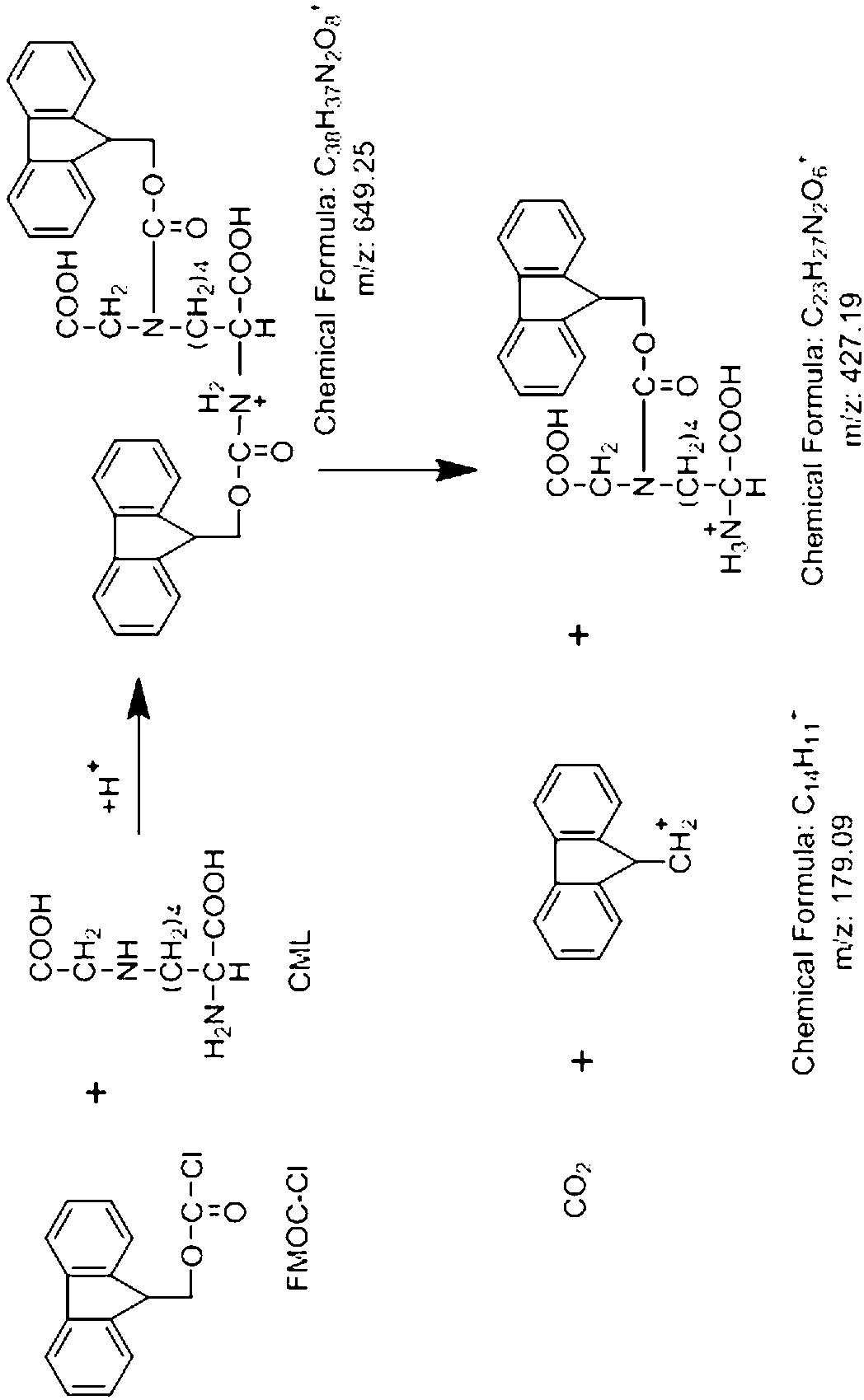 Detection method and application of carboxy methyl lysine ingredient in food