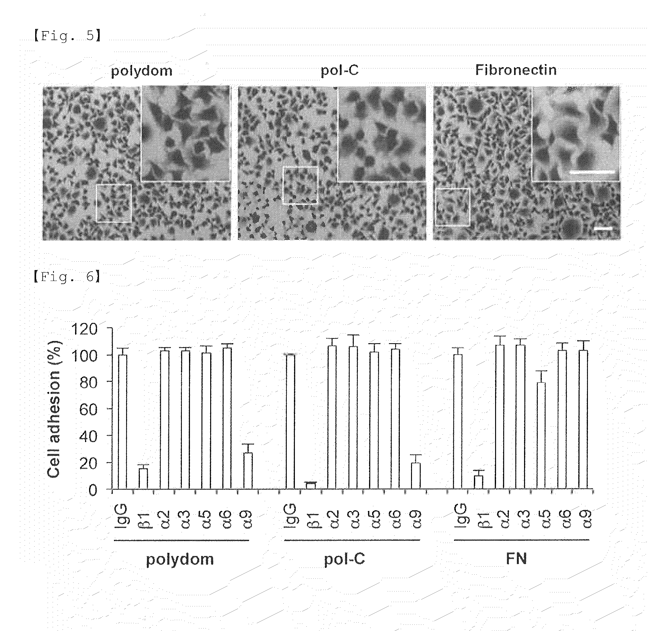 NOVEL INTEGRIN alpha9 beta1 LIGAND AND USES THEREOF