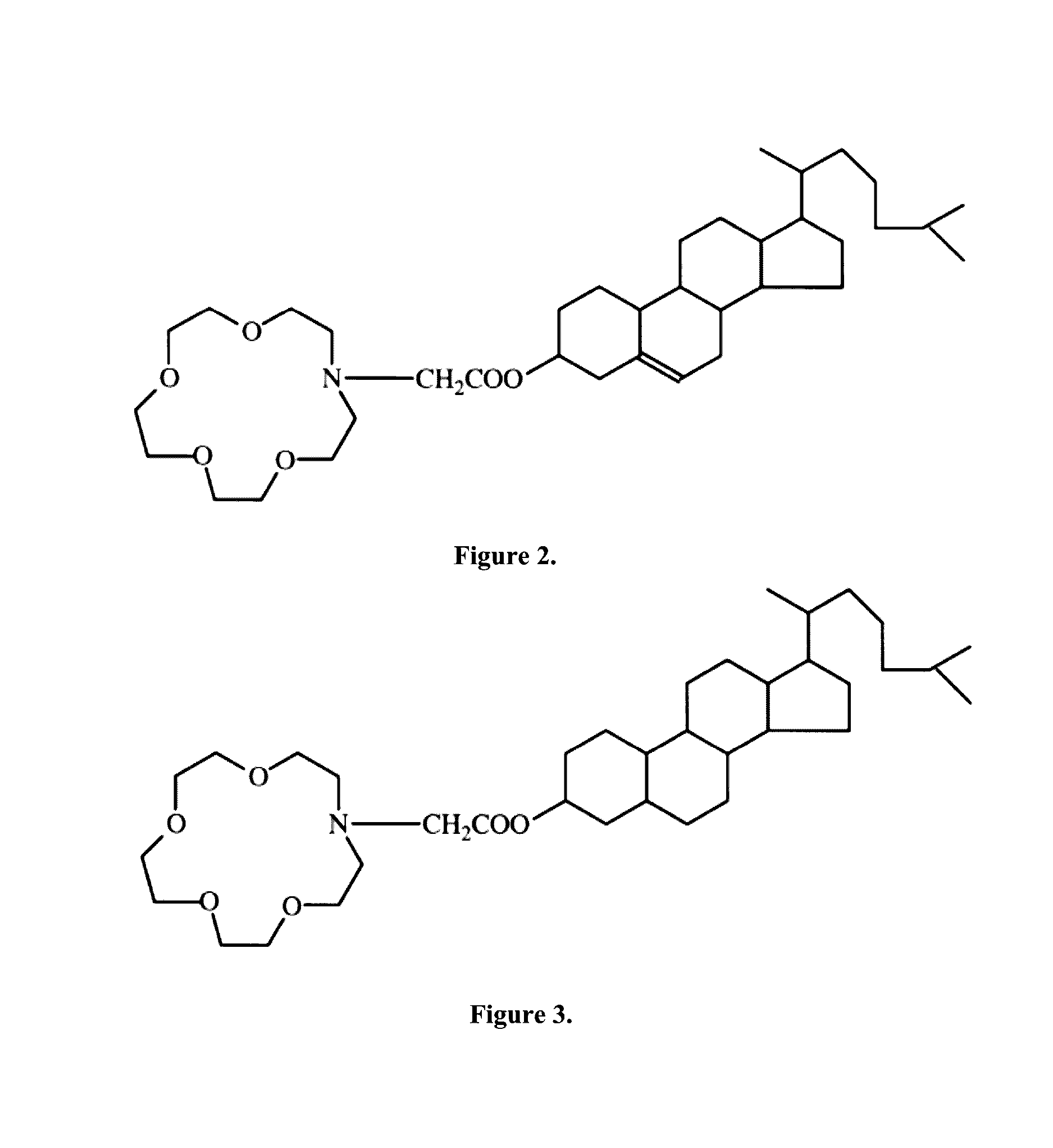 Enhanced targeted drug delivery system via chitosan hydrogel and chlorotoxin