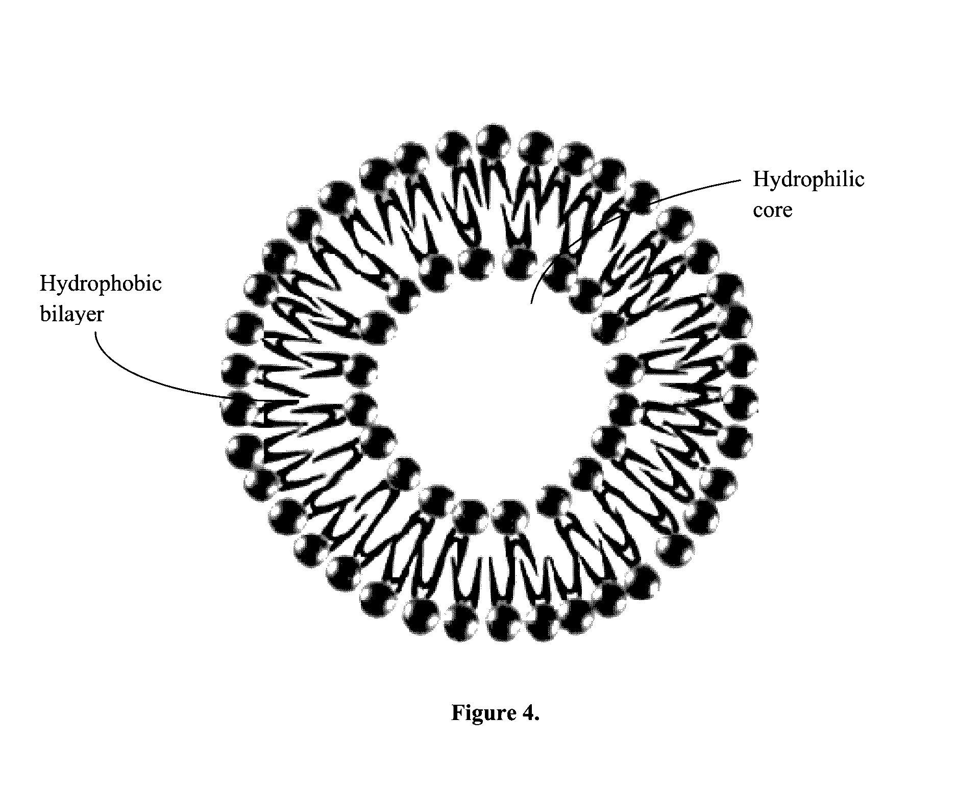 Enhanced targeted drug delivery system via chitosan hydrogel and chlorotoxin