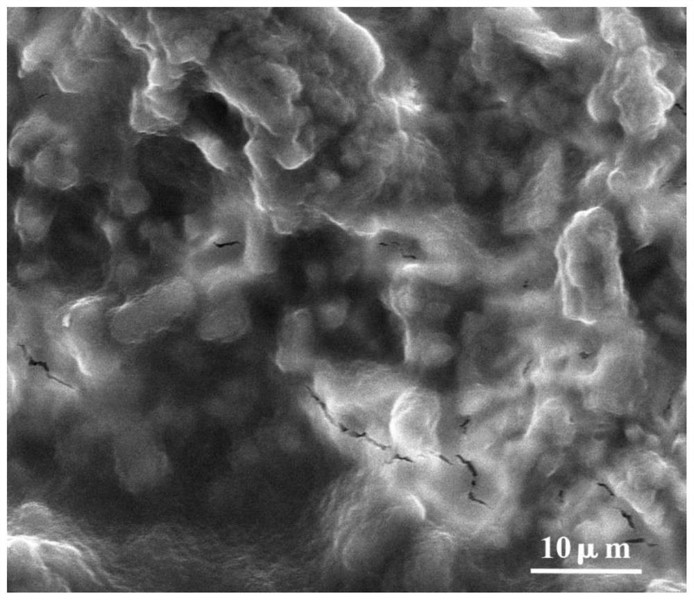 Medical material surface chitosan/graphene oxide coating and preparation method thereof