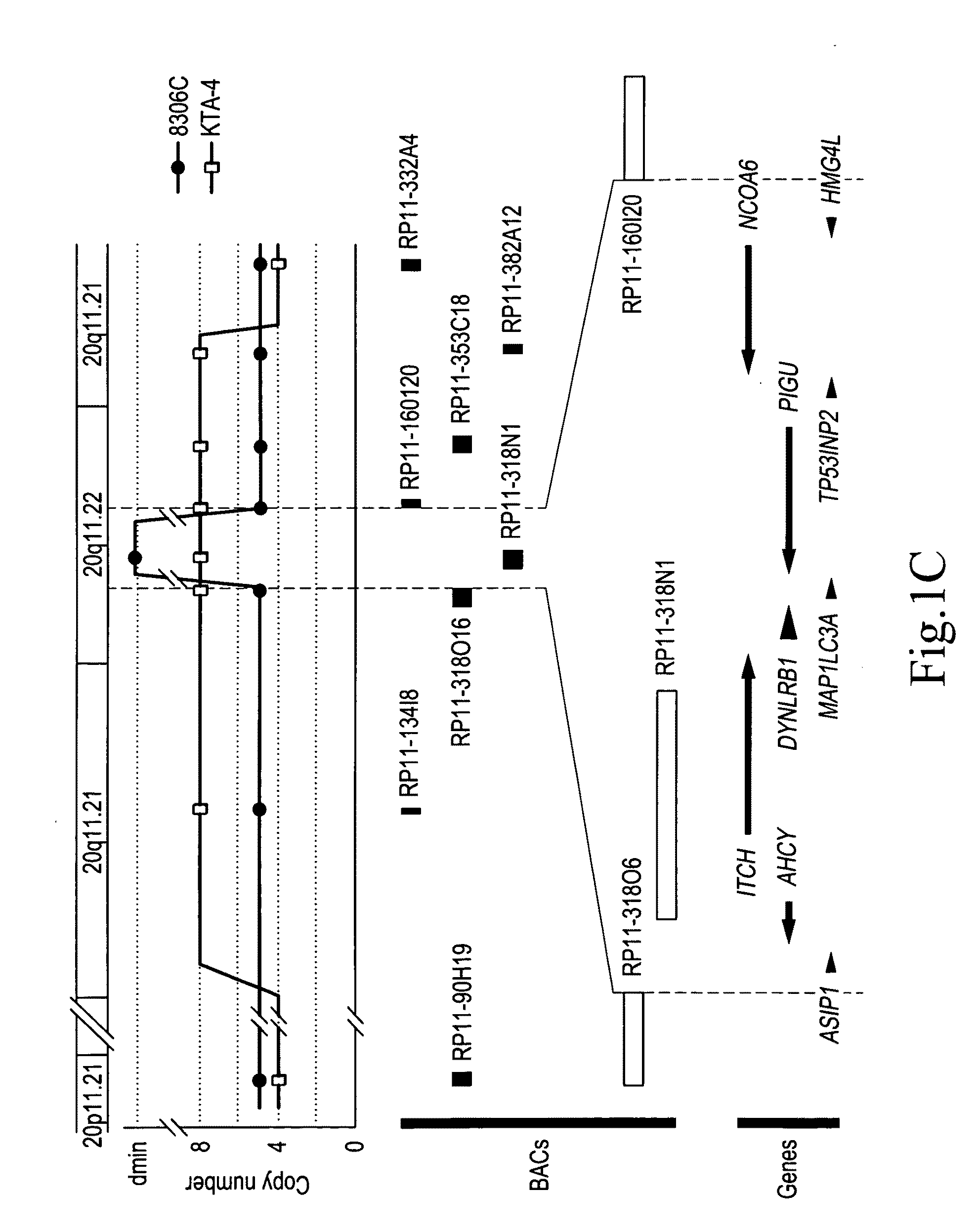 Method for detecting thyroid carcinoma