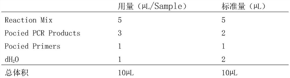 Breeding pig offspring hair color prediction method based on haplotype MC1R*31 gene