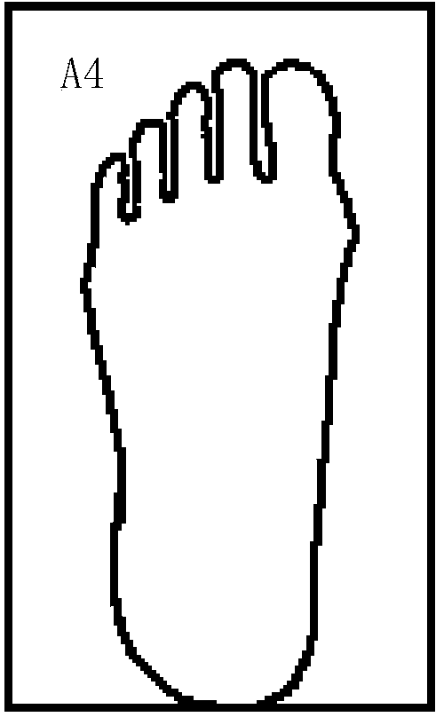 Image based human foot key part data extraction and measurement method