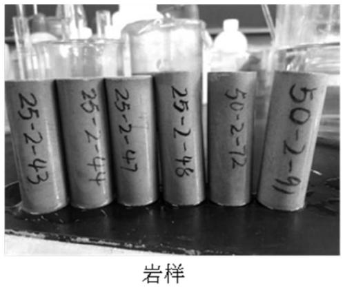 Biosynthetic composite oil-displacing agent and application thereof