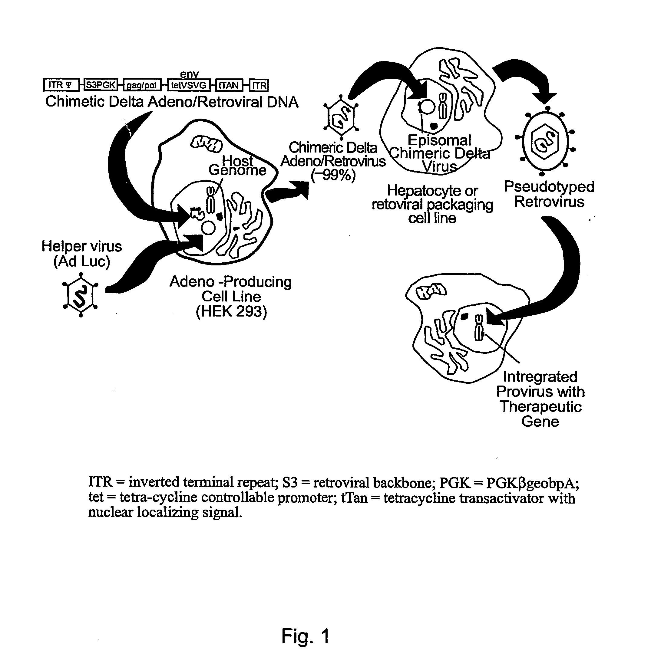 Chimeric viral vectors for gene therapy