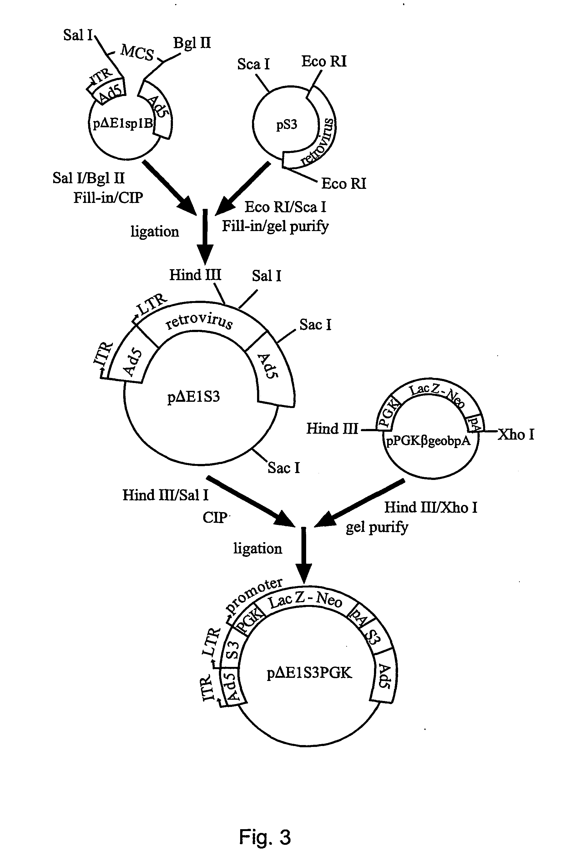 Chimeric viral vectors for gene therapy