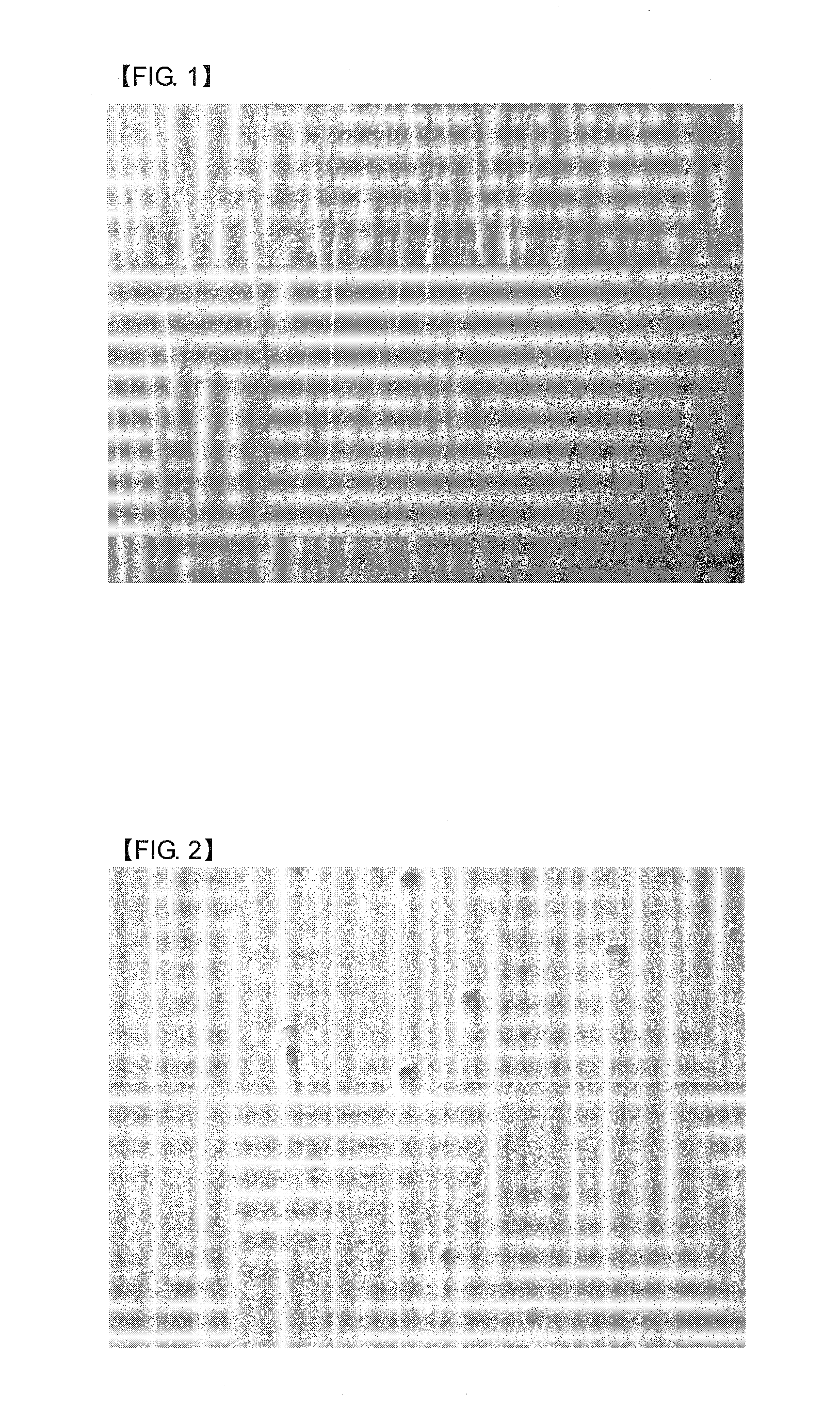 Photosensitive resin composition for black matrix