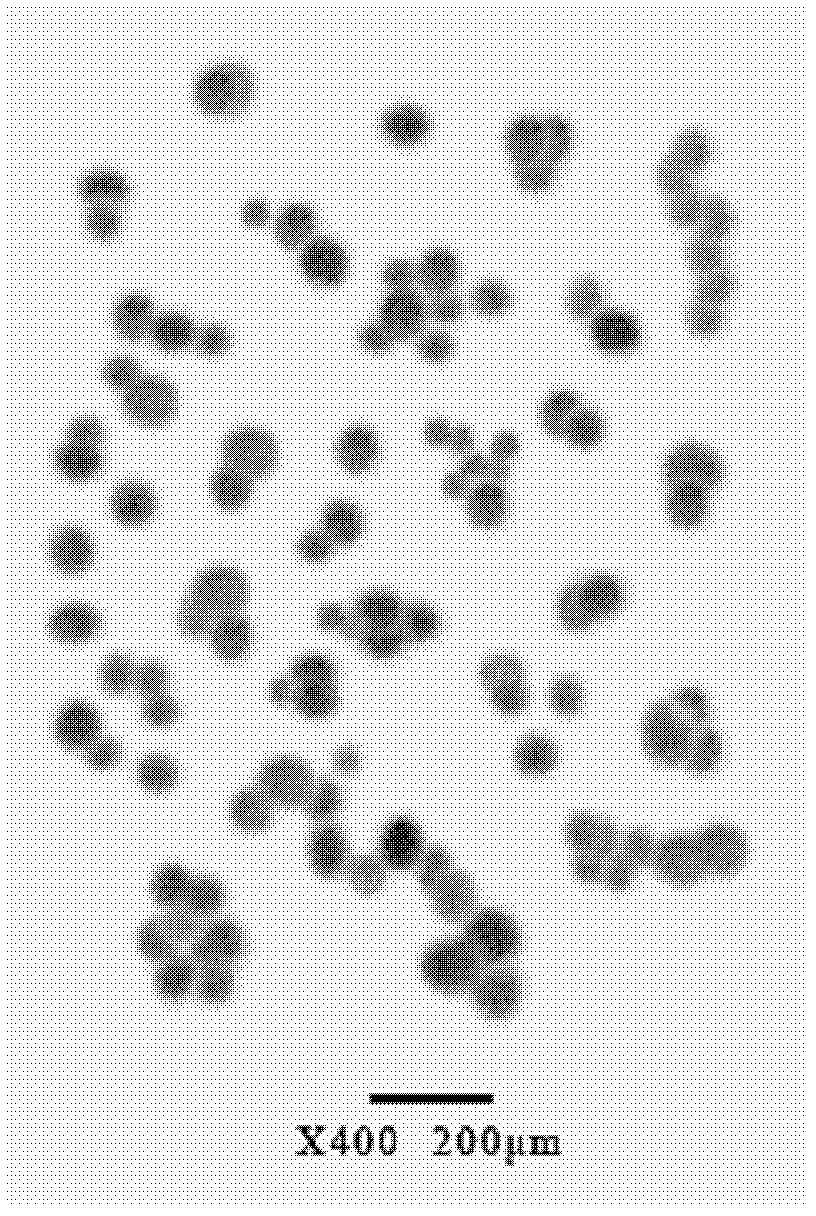 Calcium carbonate, rubber and polyvinyl chloride composition and preparation method thereof