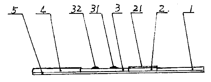 Aflatoxin fast detecting apparatus and its making method