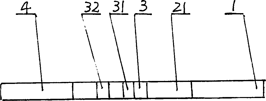 Aflatoxin fast detecting apparatus and its making method