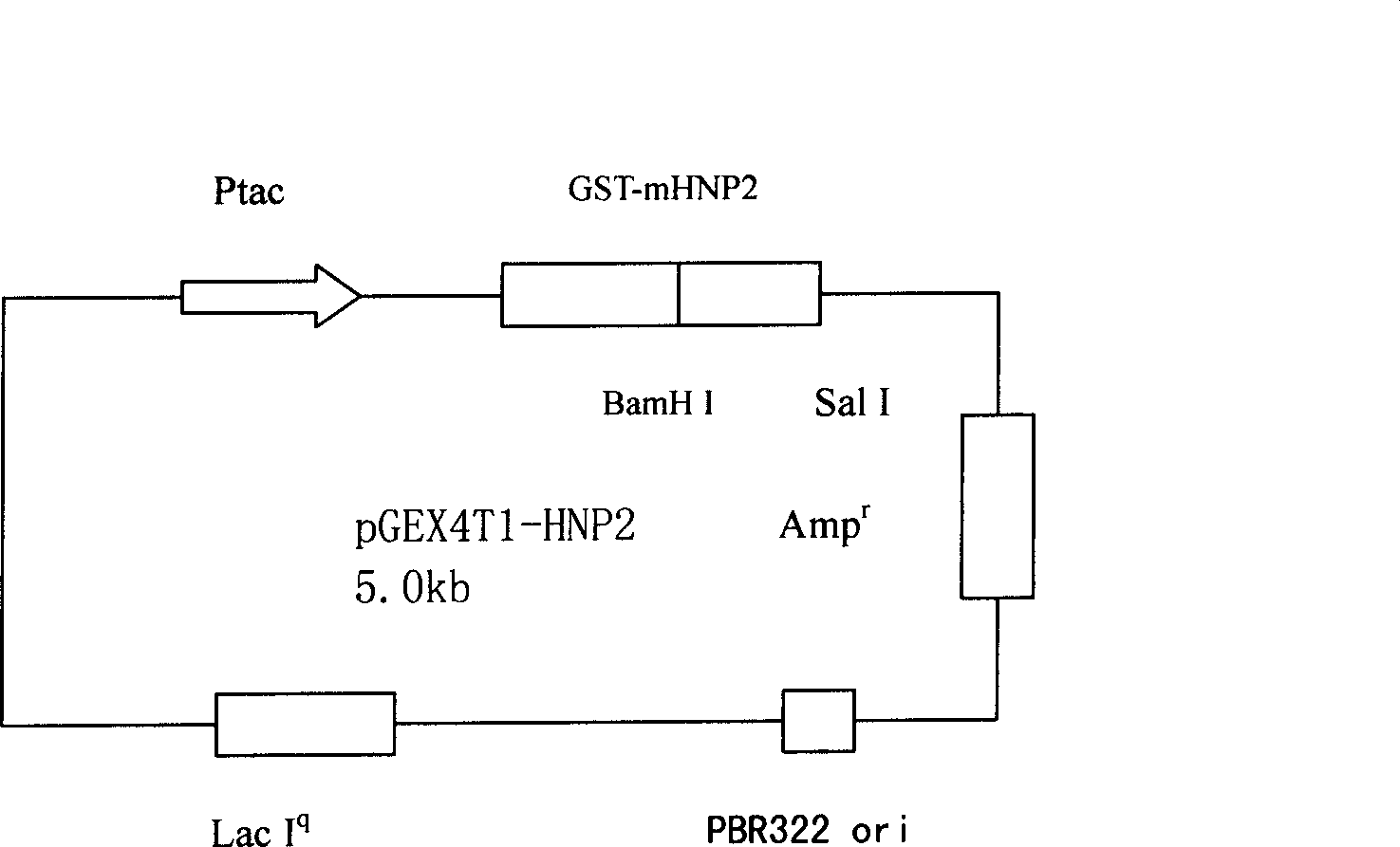 Method of producing three kinds of human alpha alexins by gene engineering bacteria mixed culture