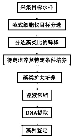 Isolation and identification method of highly purebred ultramicroalgae