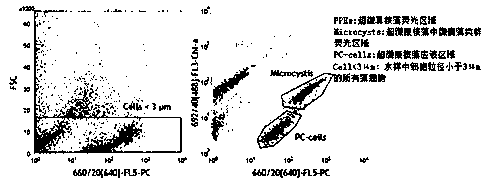 Isolation and identification method of highly purebred ultramicroalgae