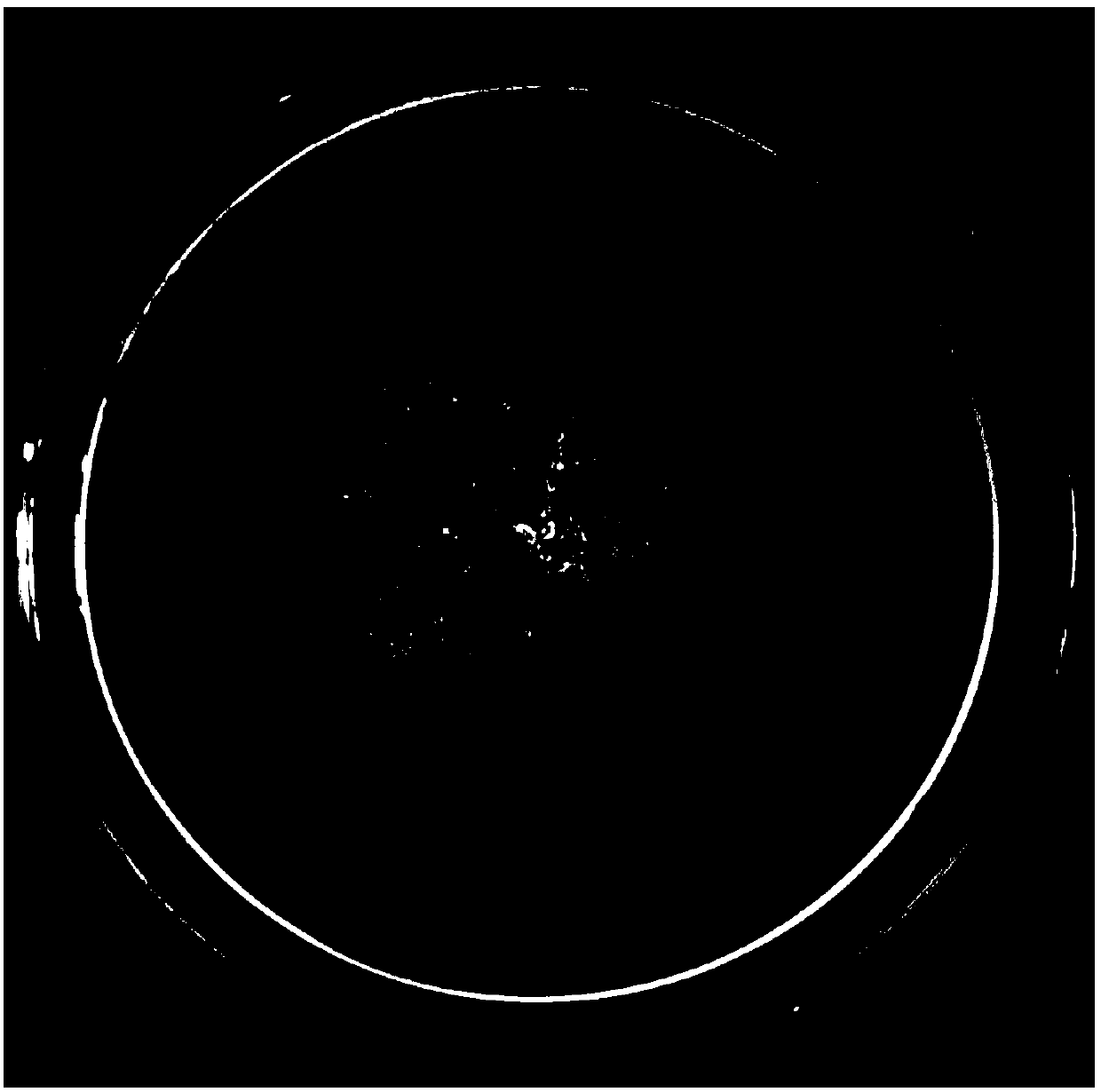 Rhizopus sp. ZH805 and application thereof