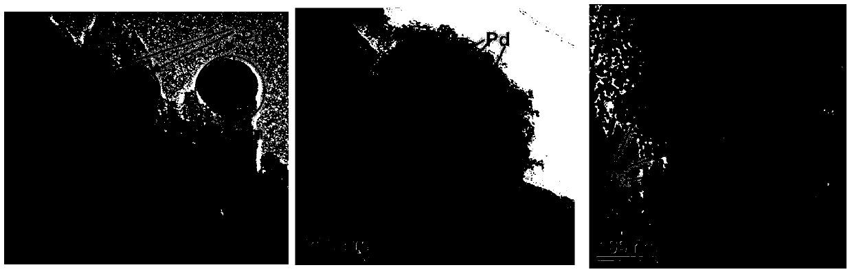 Method for regenerating deactivated palladium catalyst on line in process of preparing ethylene glycol through coal