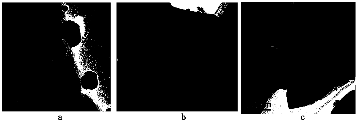 Method for regenerating deactivated palladium catalyst on line in process of preparing ethylene glycol through coal