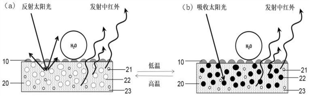 Super-hydrophobic self-cleaning temperature-adaptive radiation cooling coating and coating preparation method