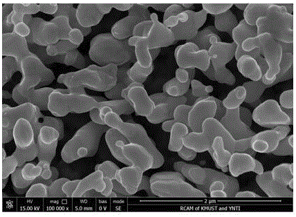 Method for preparing micro-nano-porous silver based on eutectic flux in-situ alloy deposition/alloy removing method