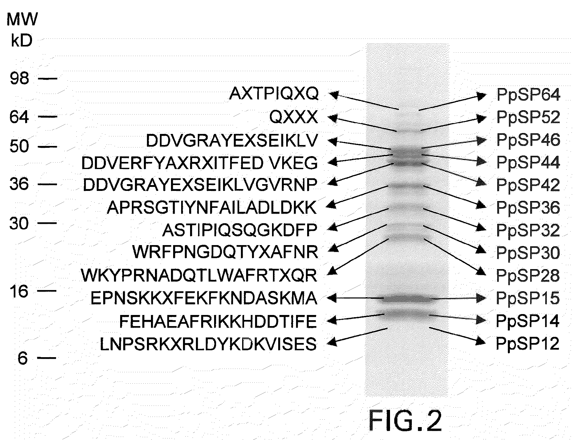 Anti-arthropod vector vaccines, methods of selecting and uses thereof