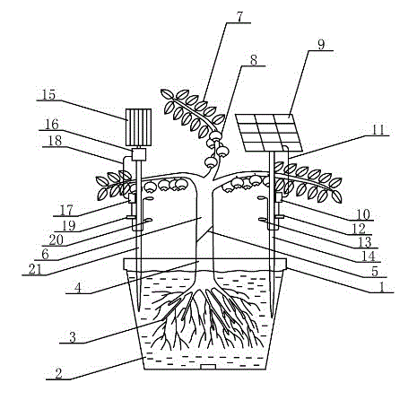 Health-care bonsai of blueberry and vaccinium combined plant cultivated through wind-solar hybrid type power supply and energy-saving illumination