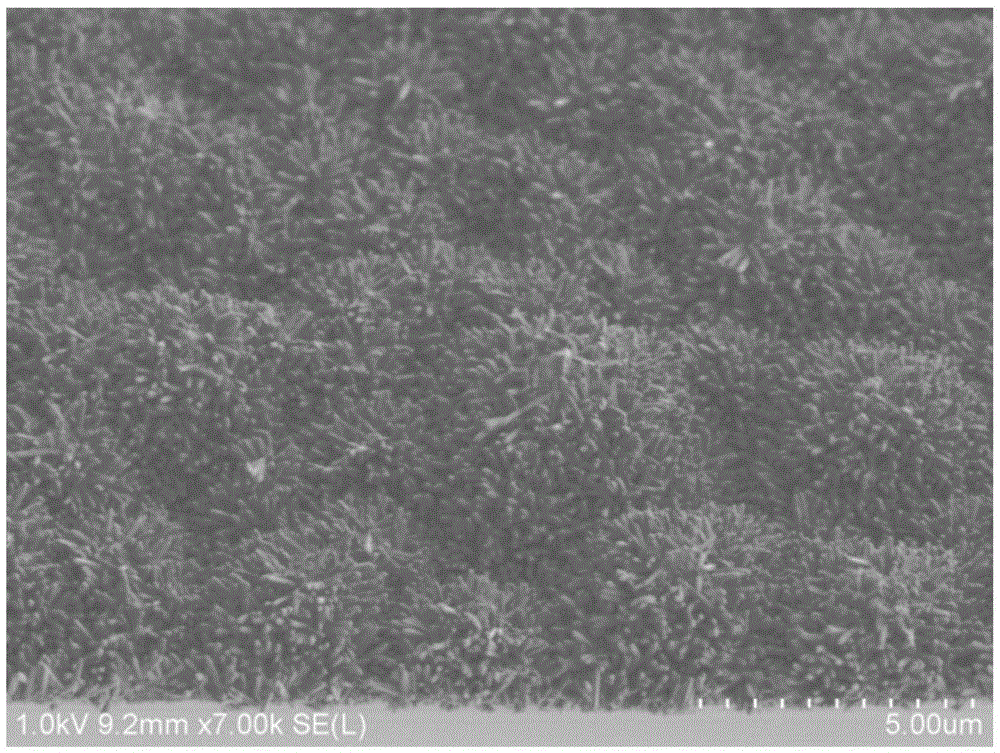 Positive/negative (P/N) heterojunction based silicon/titanium dioxide three-dimensional composite material with synergic anti-reflection performance and application thereof