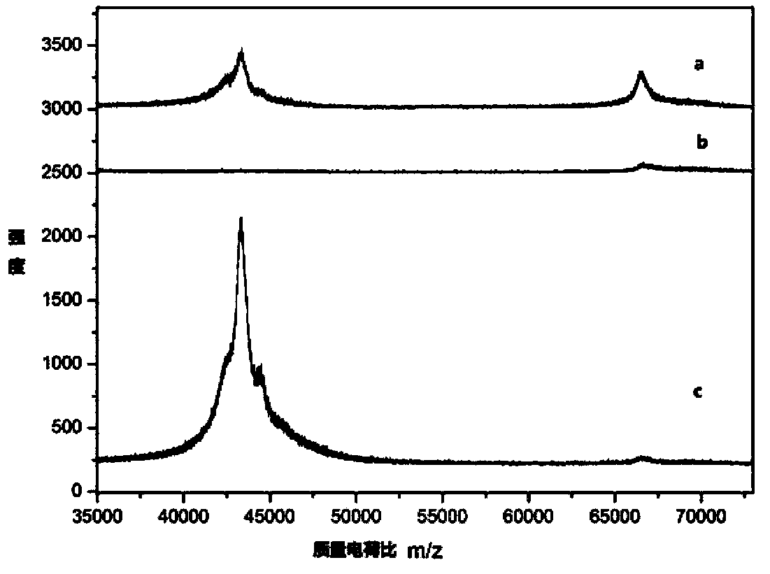 Polymer microsphere, preparation and applications thereof