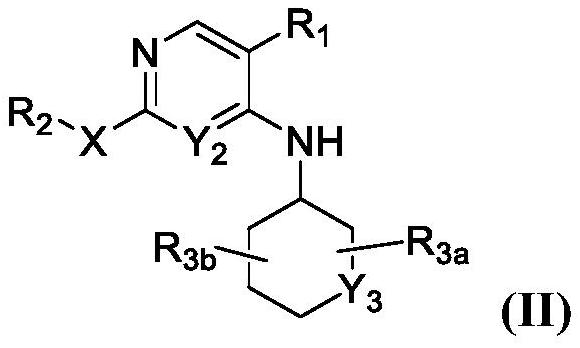 JNK inhibitor as well as pharmaceutical composition and application thereof