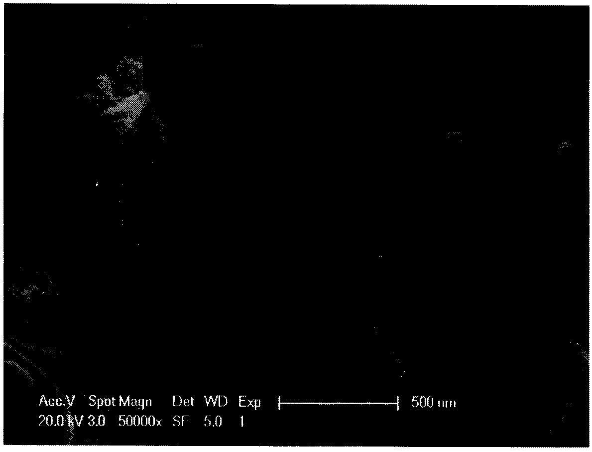 Synthetic method of manganese oxide-loaded polypyrrole nanotube