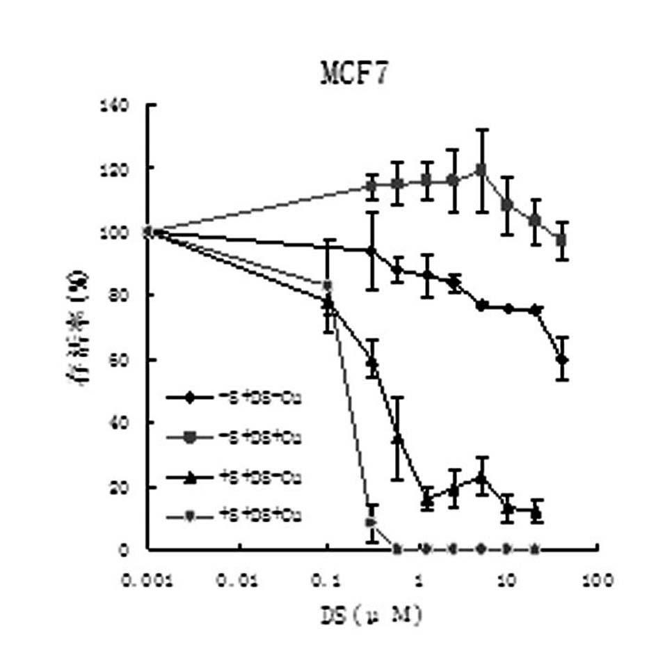 Anti-tumor combination medicament